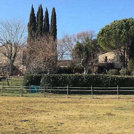 Podere Conte Racani Amelia Zewnętrze zdjęcie