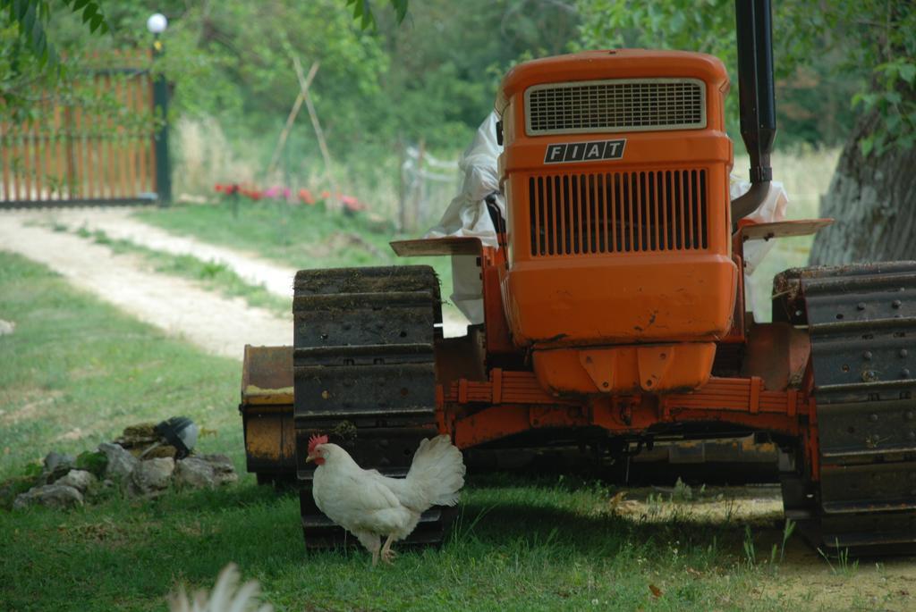 Podere Conte Racani Amelia Zewnętrze zdjęcie