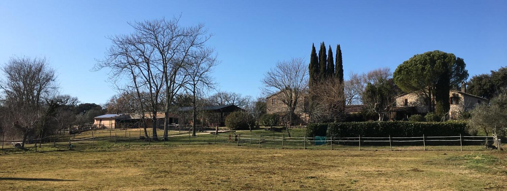 Podere Conte Racani Amelia Zewnętrze zdjęcie