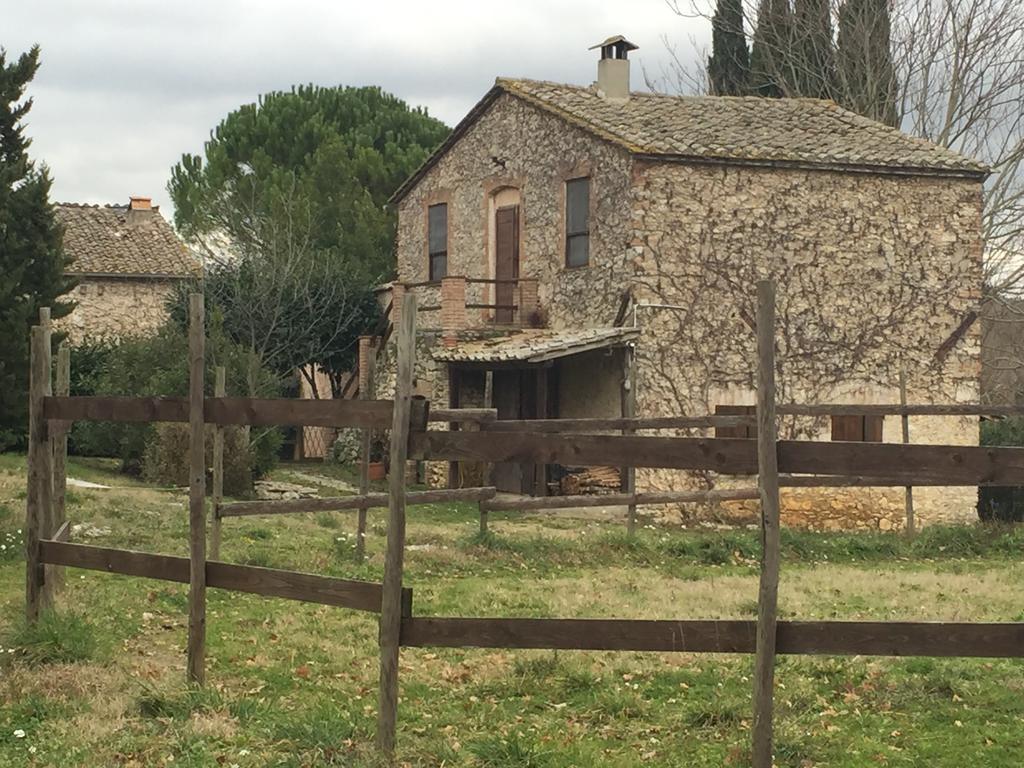 Podere Conte Racani Amelia Zewnętrze zdjęcie