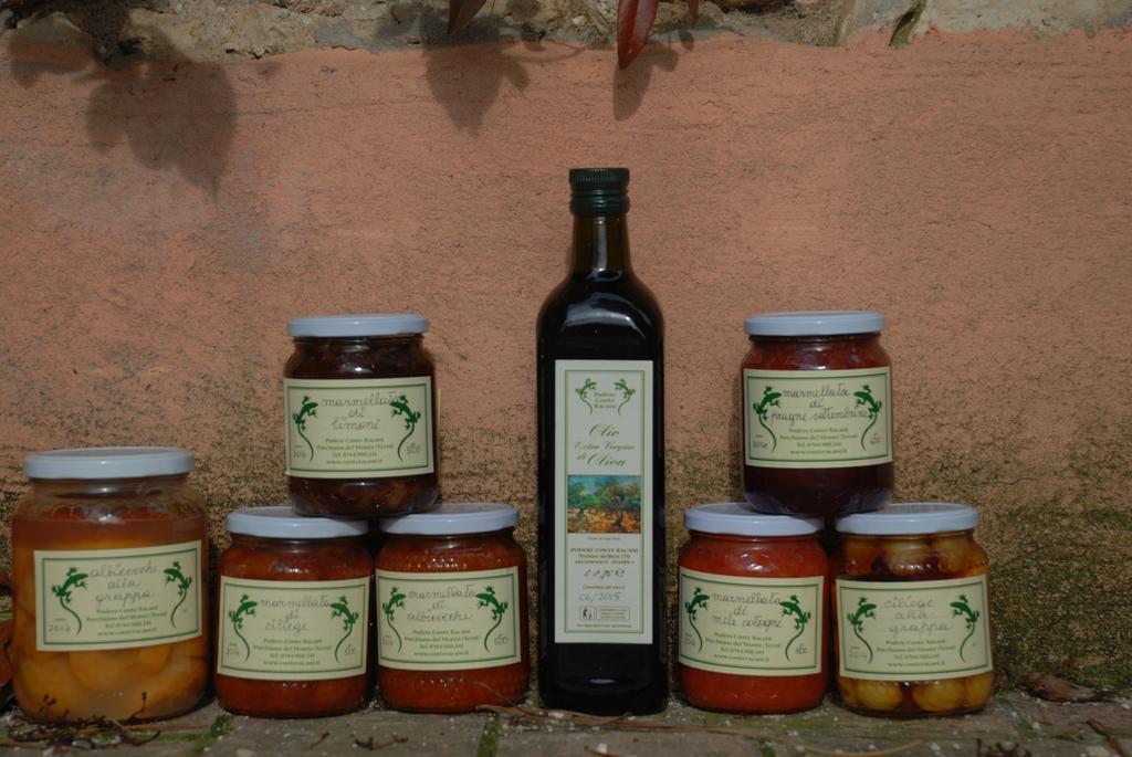 Podere Conte Racani Amelia Zewnętrze zdjęcie