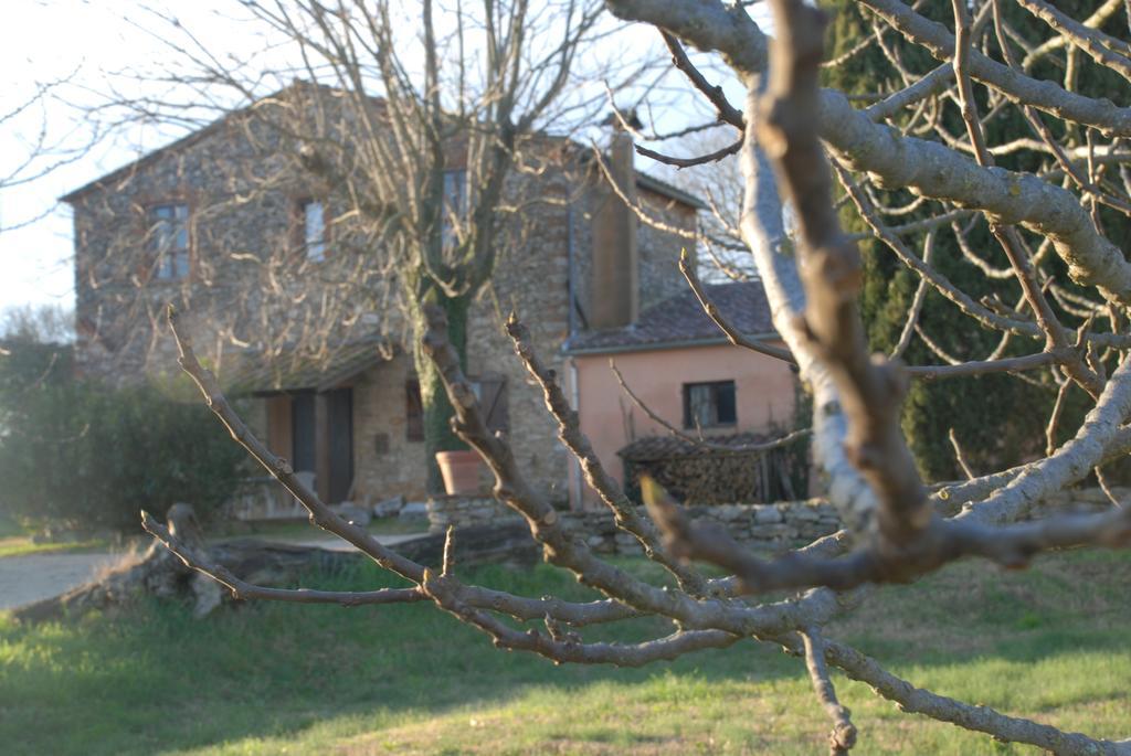 Podere Conte Racani Amelia Zewnętrze zdjęcie
