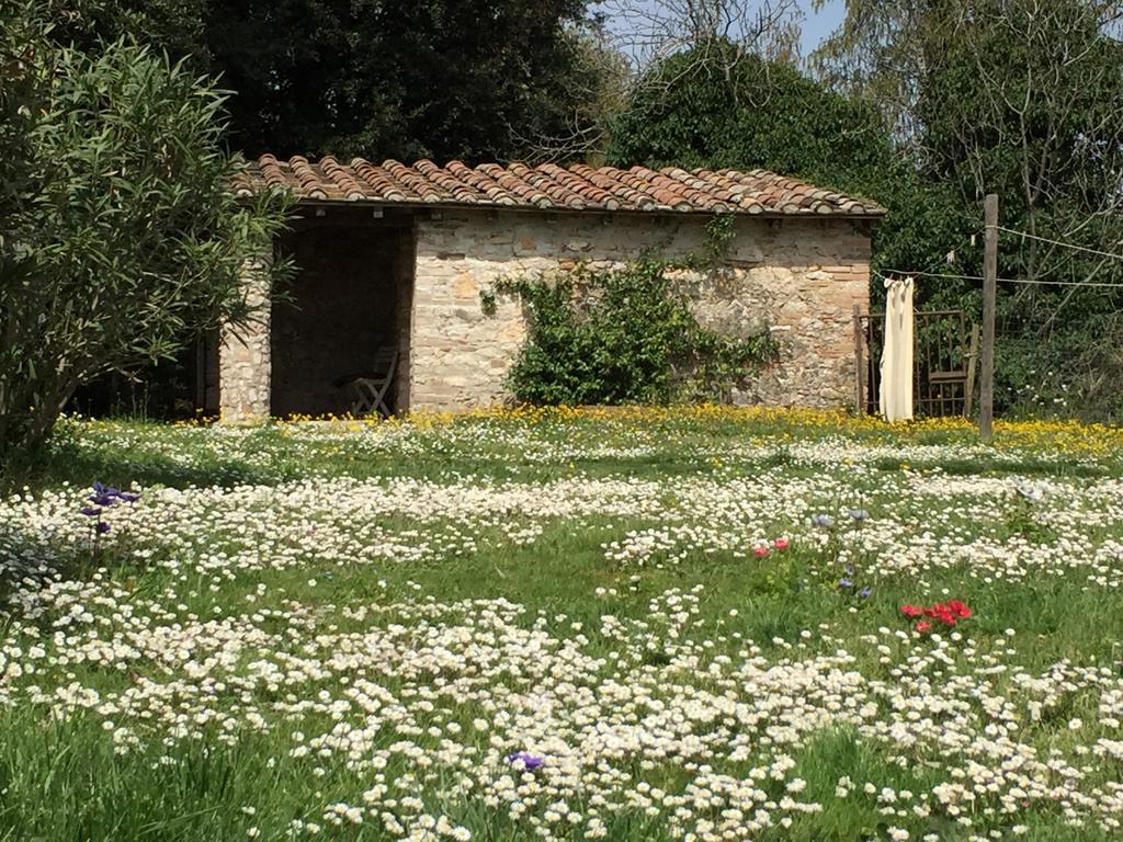 Podere Conte Racani Amelia Zewnętrze zdjęcie