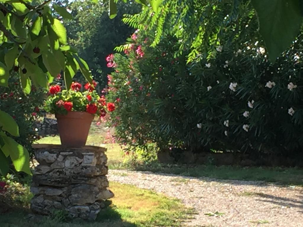 Podere Conte Racani Amelia Zewnętrze zdjęcie