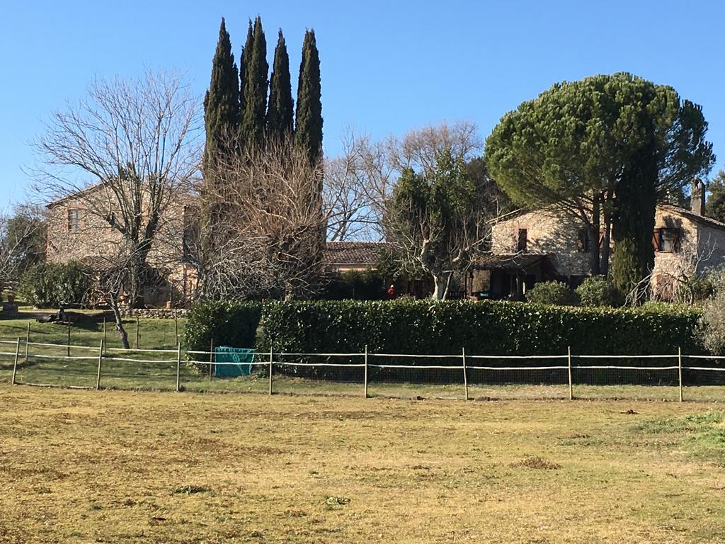 Podere Conte Racani Amelia Zewnętrze zdjęcie