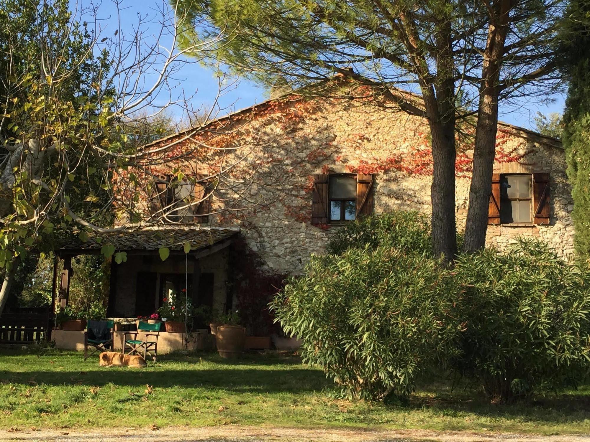 Podere Conte Racani Amelia Zewnętrze zdjęcie