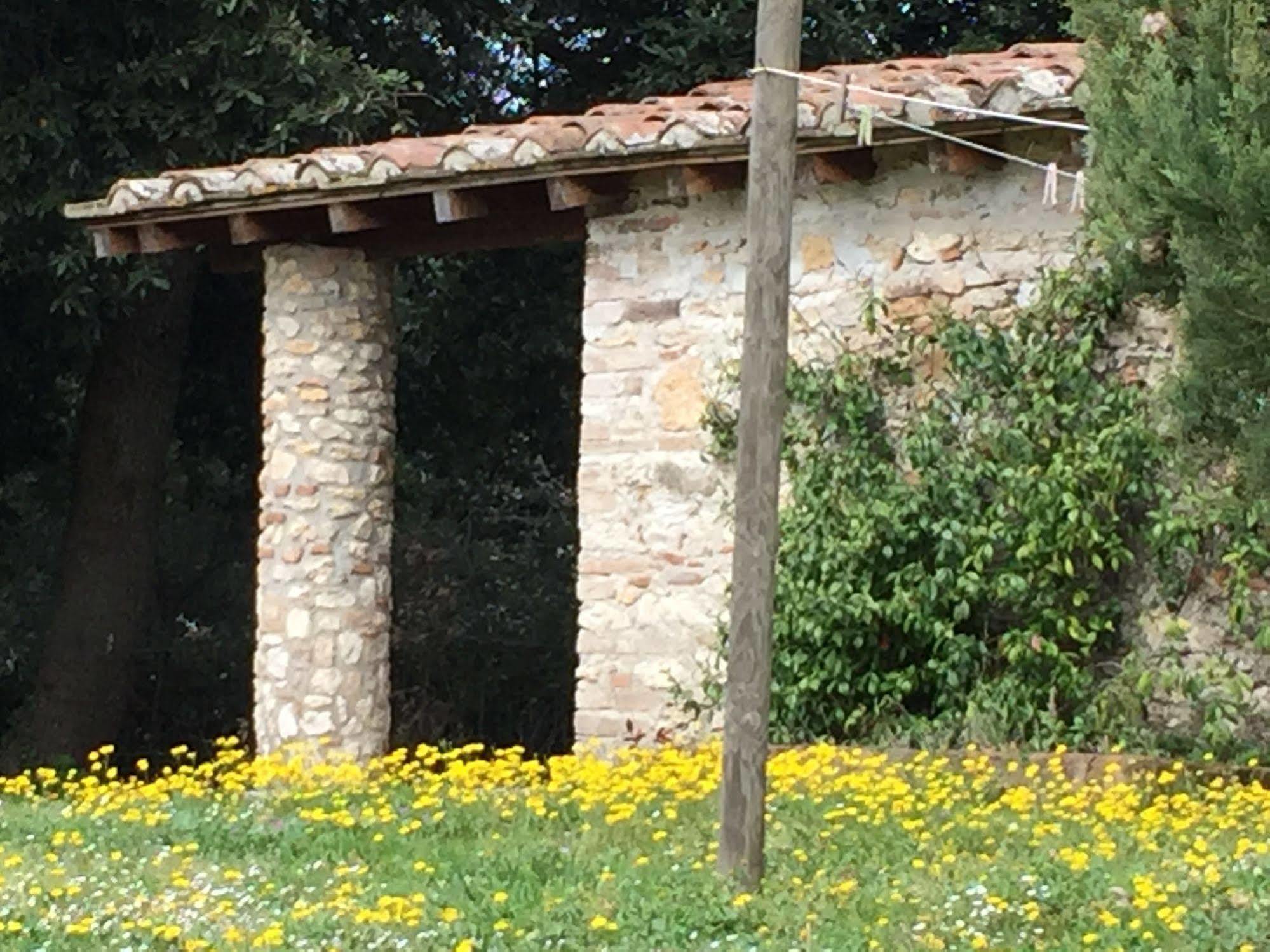 Podere Conte Racani Amelia Zewnętrze zdjęcie