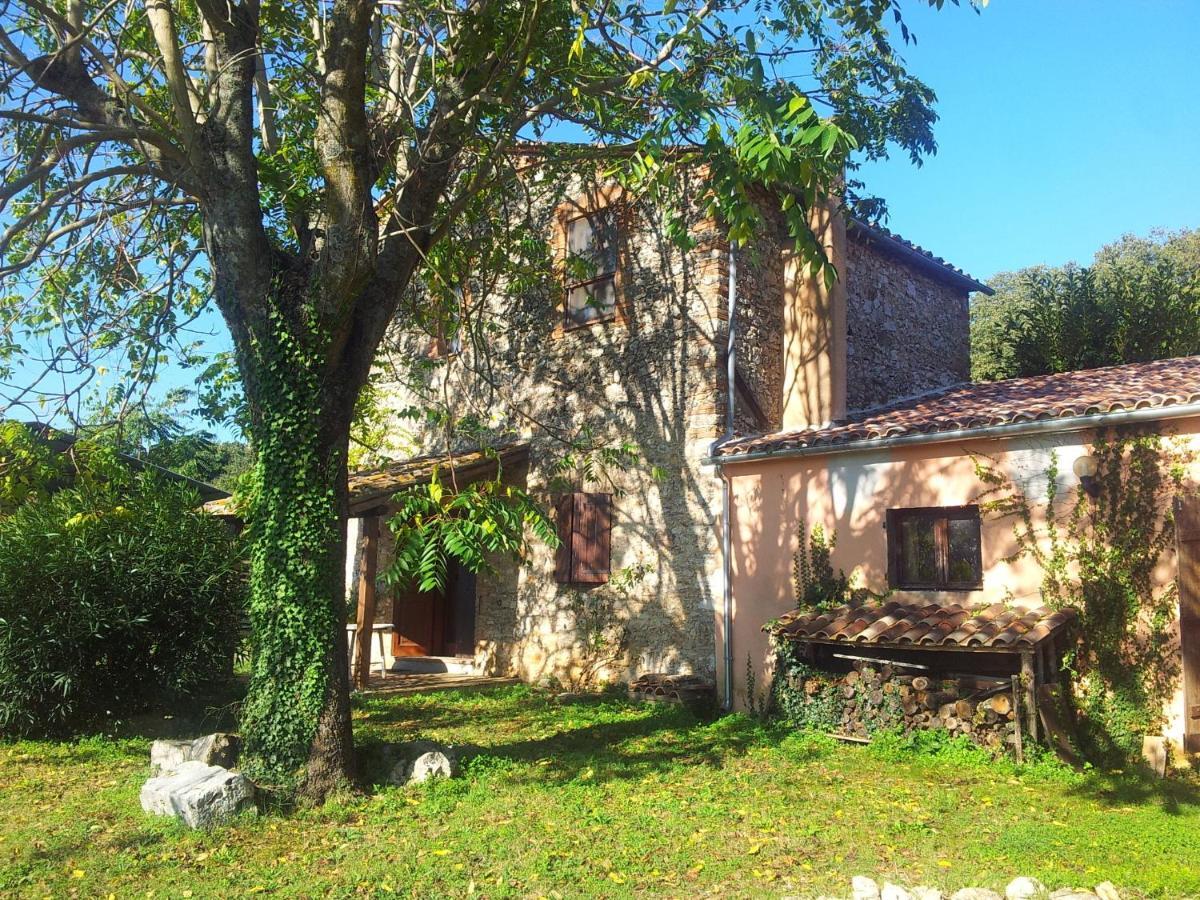 Podere Conte Racani Amelia Pokój zdjęcie