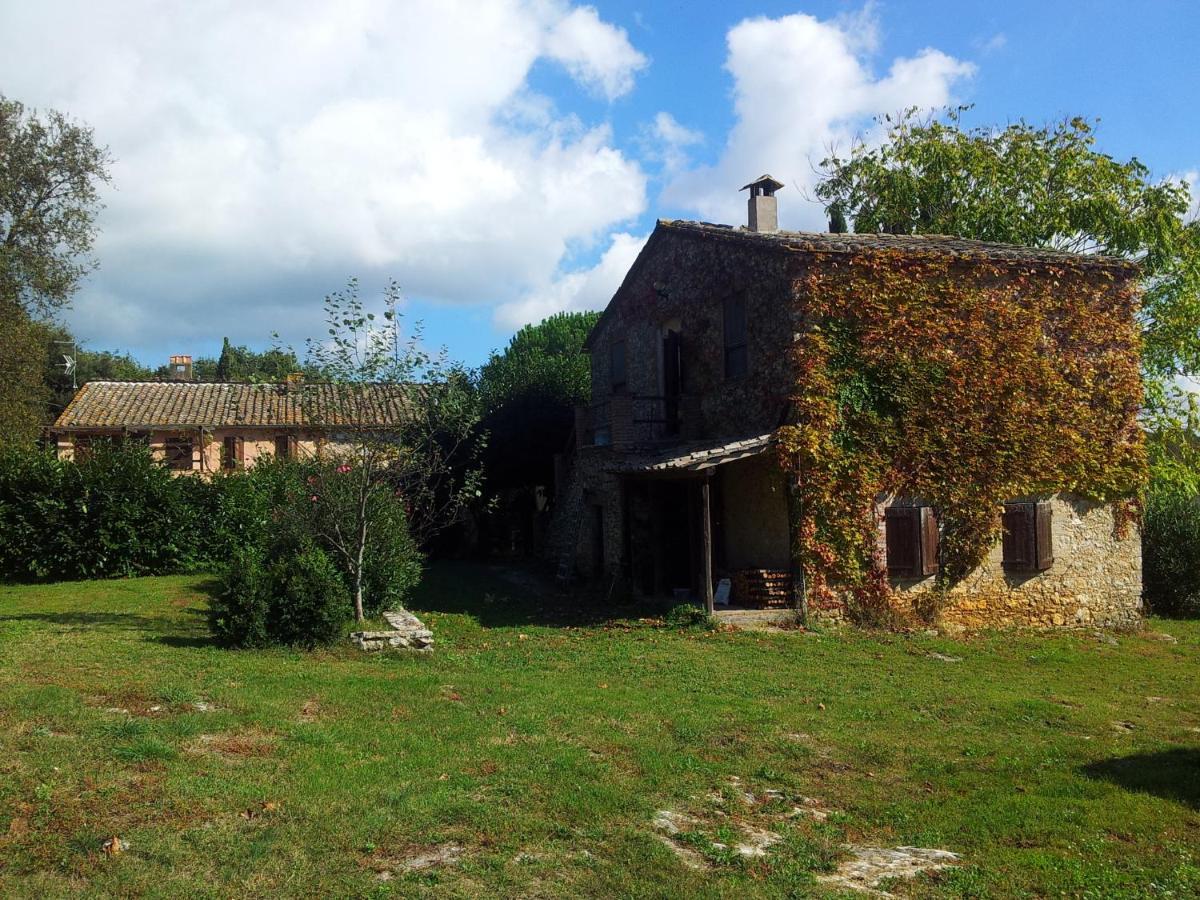 Podere Conte Racani Amelia Pokój zdjęcie
